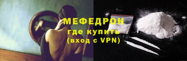 индика Няндома
