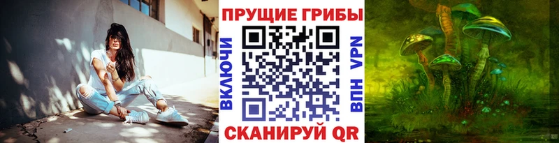 купить   Ессентуки  мориарти официальный сайт  Псилоцибиновые грибы прущие грибы 