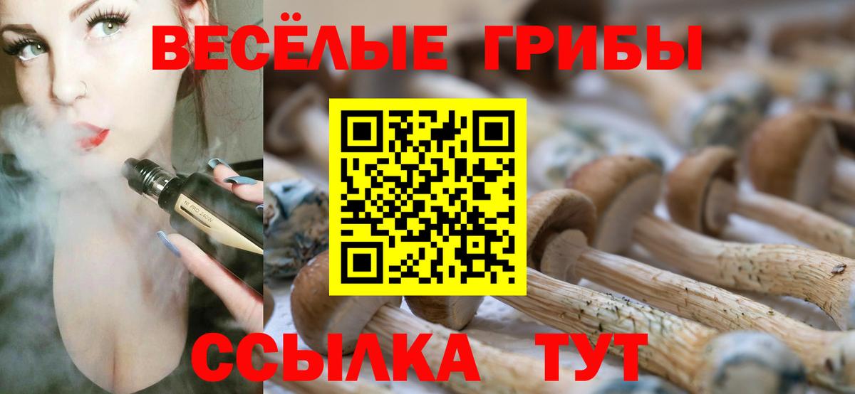 Псилоцибиновые грибы Cubensis  Вход с VPN  Псилоцибиновые грибы MAGIC MUSHROOMS  Ессентуки 