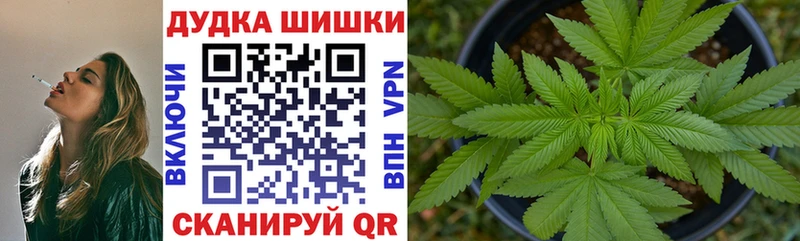 купить наркоту  Ессентуки  Бошки Шишки семена 